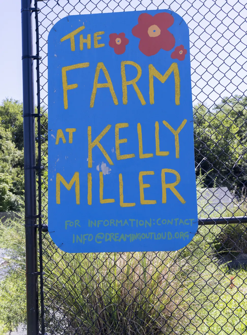 dreaming-out-loud-kelly-miller