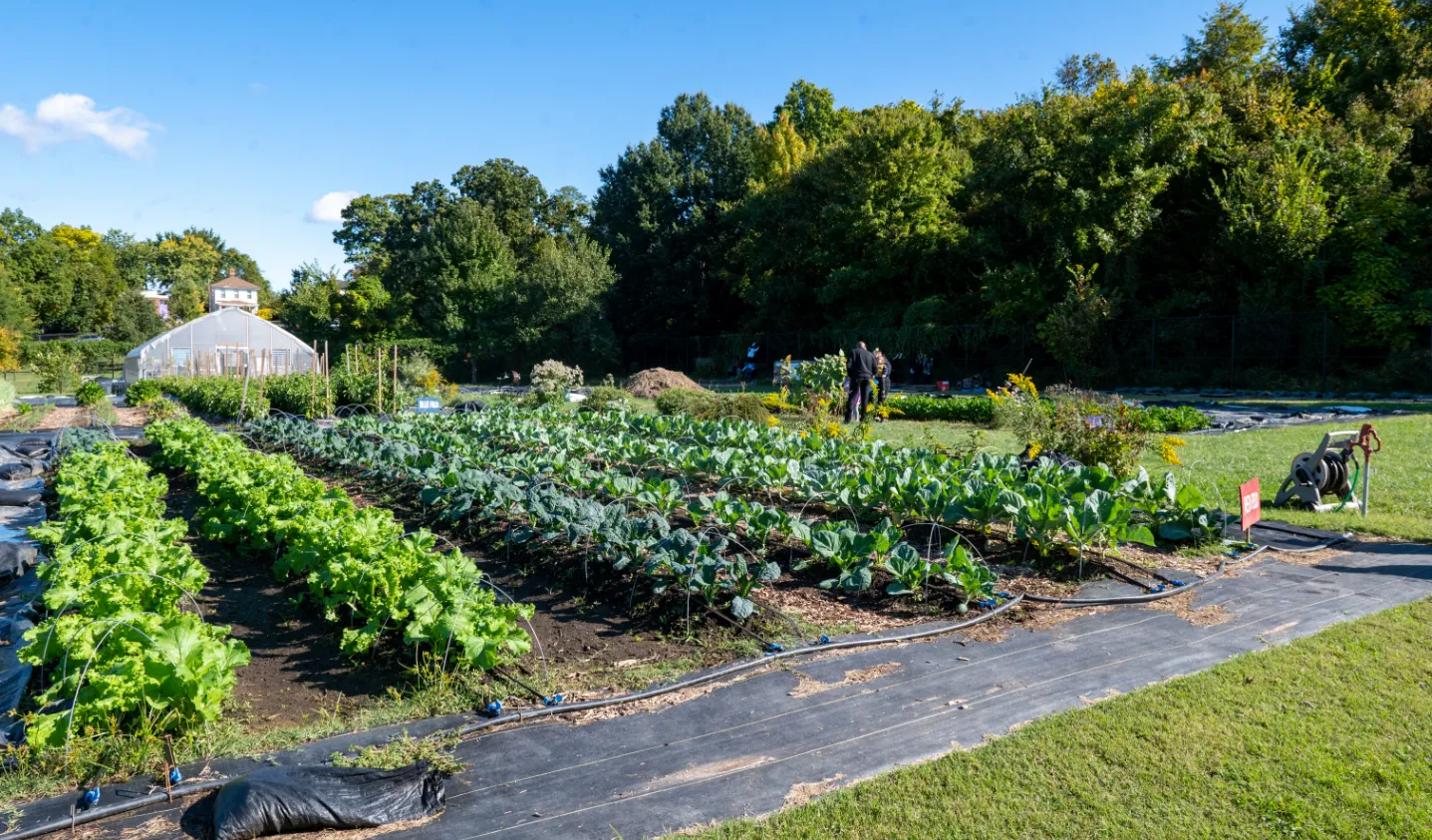 Farming