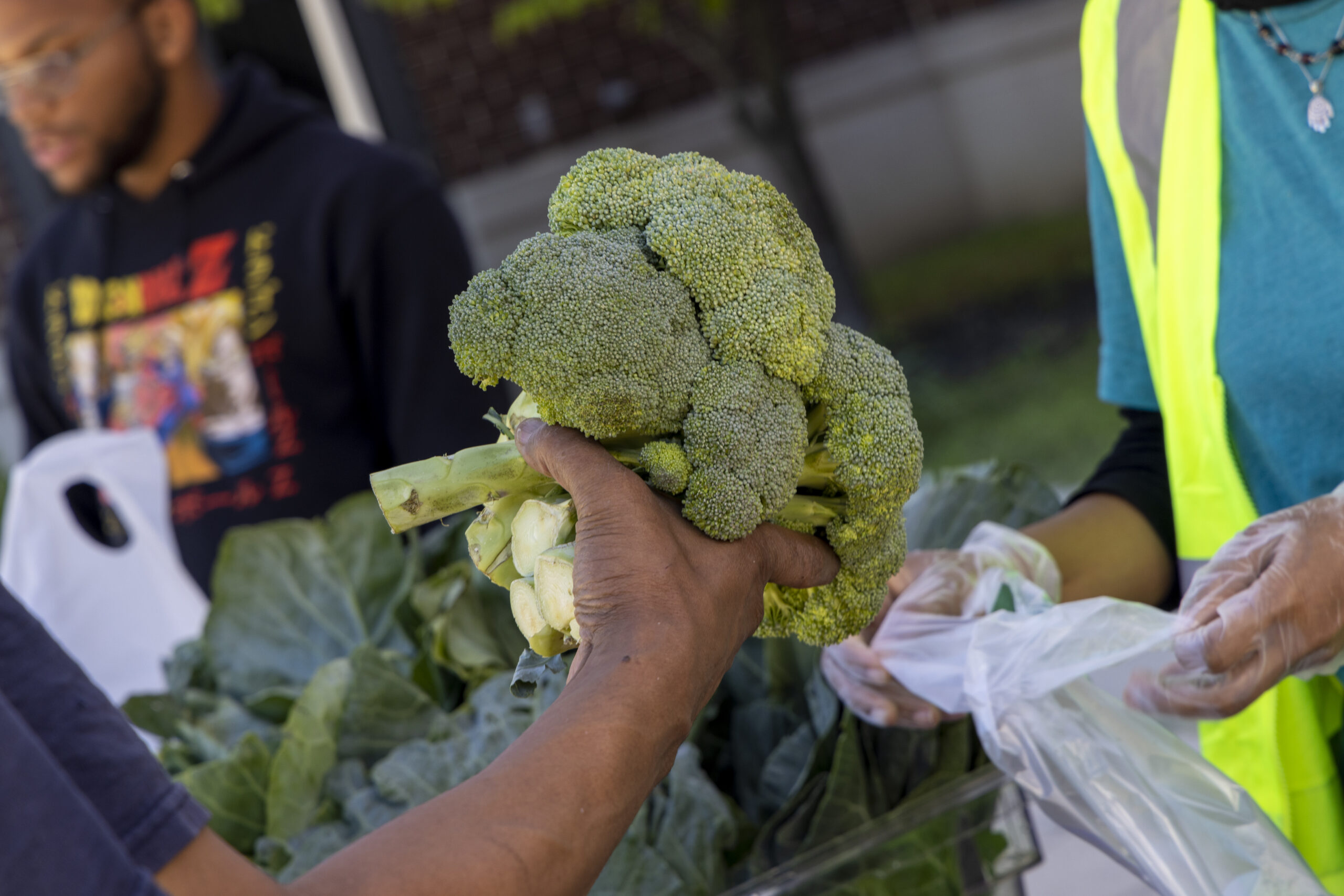 Dreaming Out Loud: Kelly Miller Farmer’s Market and Farm

COPYRIGHT REBECCA DROBIS

To create economic opportunities for the DC metro region’s marginalized communities through building a healthy, equitable food system.