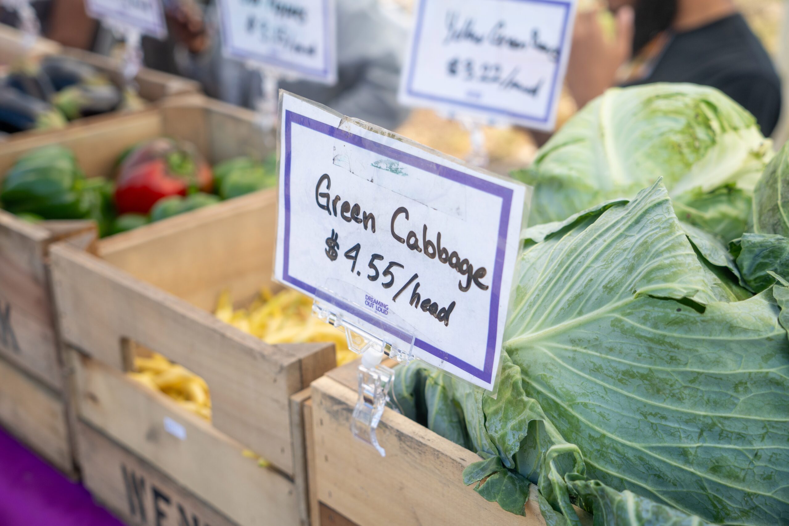 box of green cabbage with price sign on a table at a farmers' market