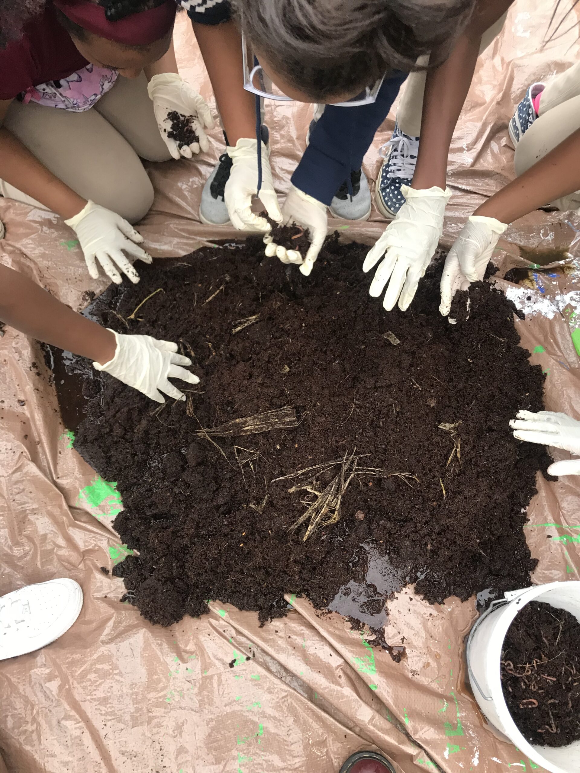 group of people's hands surrounding a pile of soil and planting seeds