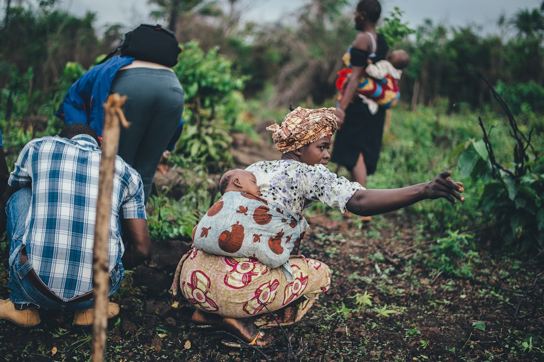 Community Of Farm